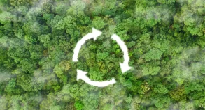 Circularity-icon-above-forest Circularity icon above forest