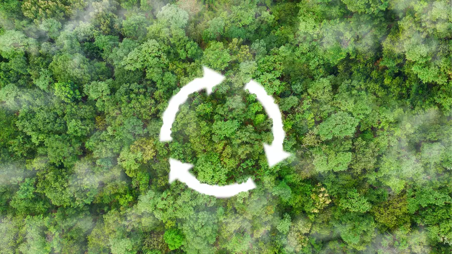 Circularity icon above forest